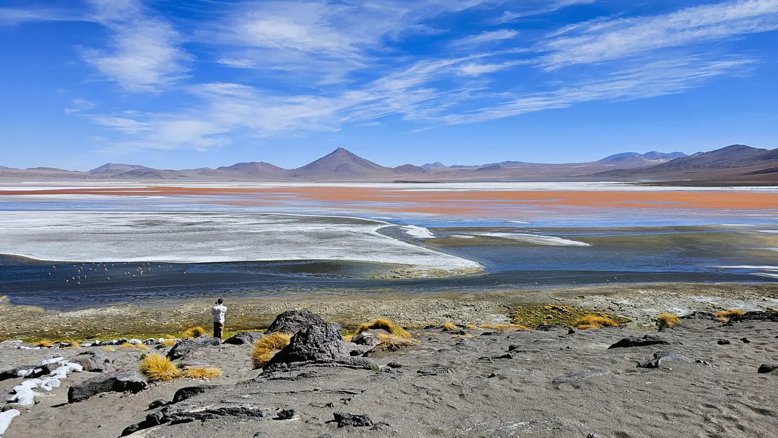 Eduardo Avaroa Reserve Fauna Colorada Lagoon